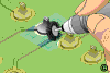 2.3.1 Coating Removal, Identification of Coating